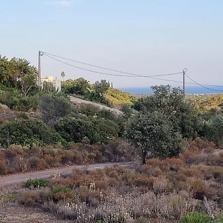 Sitio Da Cornucopia Casa Principal Moncarapacho