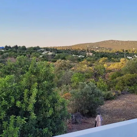 Sitio Da Cornucopia Casa Principal Βίλα Moncarapacho