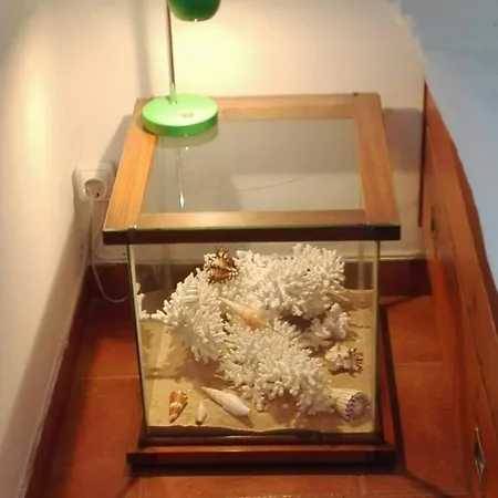 Sitio Da Cornucopia Casa Principal Βίλα Moncarapacho