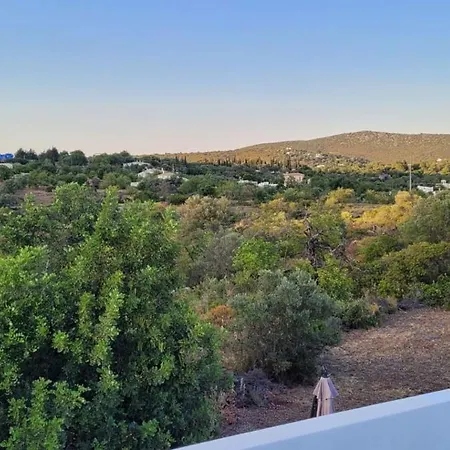 Sitio Da Cornucopia Casa Principal Вилла Монкарапашу