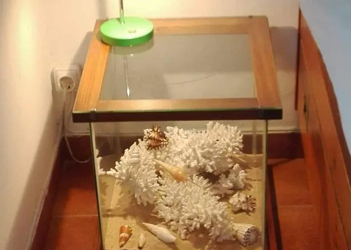 Sitio Da Cornucopia Casa Principal Villa Moncarapacho